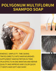 3-in-1 Hair Dye Natural Polygonum Multiflorum Darkening Shampoo for Men & Women