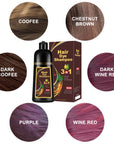 3-in-1 Hair Dye Natural Polygonum Multiflorum Darkening Shampoo for Men & Women