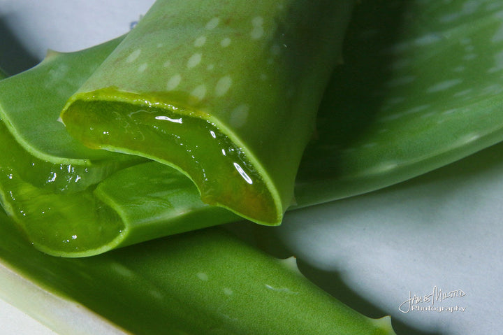 Aloe Vera Facial Care: Nature’s Secret for Healthy Skin