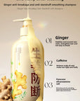 500ml Ginseng & Ganoderma Shampoo | Deep Cleansing & Anti-Loss | Fluffy Hair