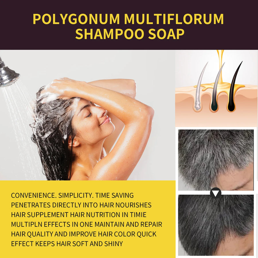 3-in-1 Hair Dye Natural Polygonum Multiflorum Darkening Shampoo for Men & Women