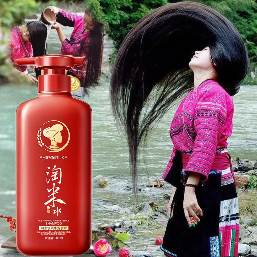 500ml Ginseng & Ganoderma Shampoo | Deep Cleansing & Anti-Loss | Fluffy Hair